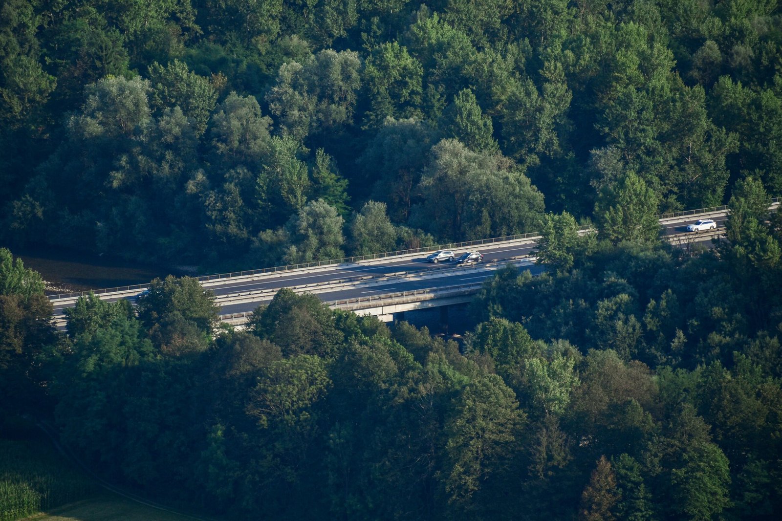 white and black train on track surrounded by green trees during daytime